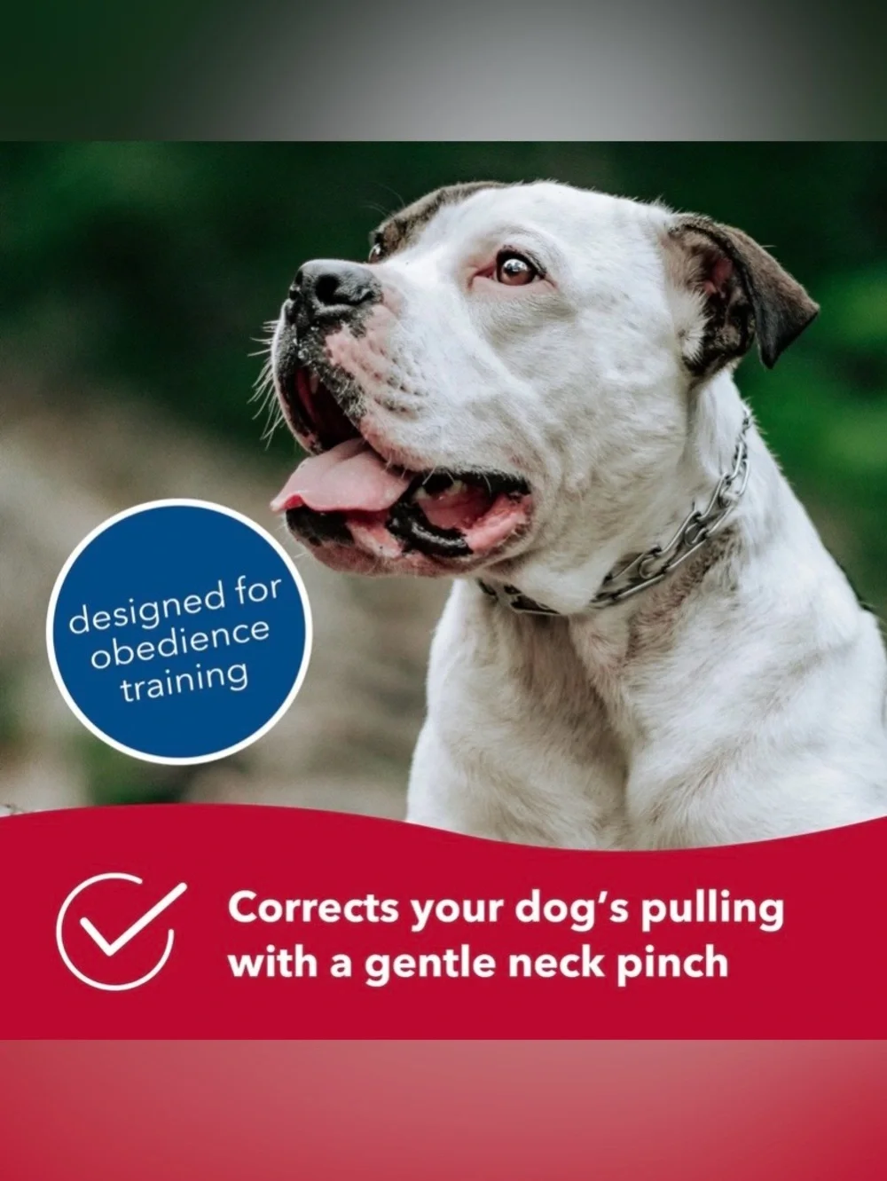 Herm Sprenger Ultra-Plus Dog Prong Training Collar Stainless Steel